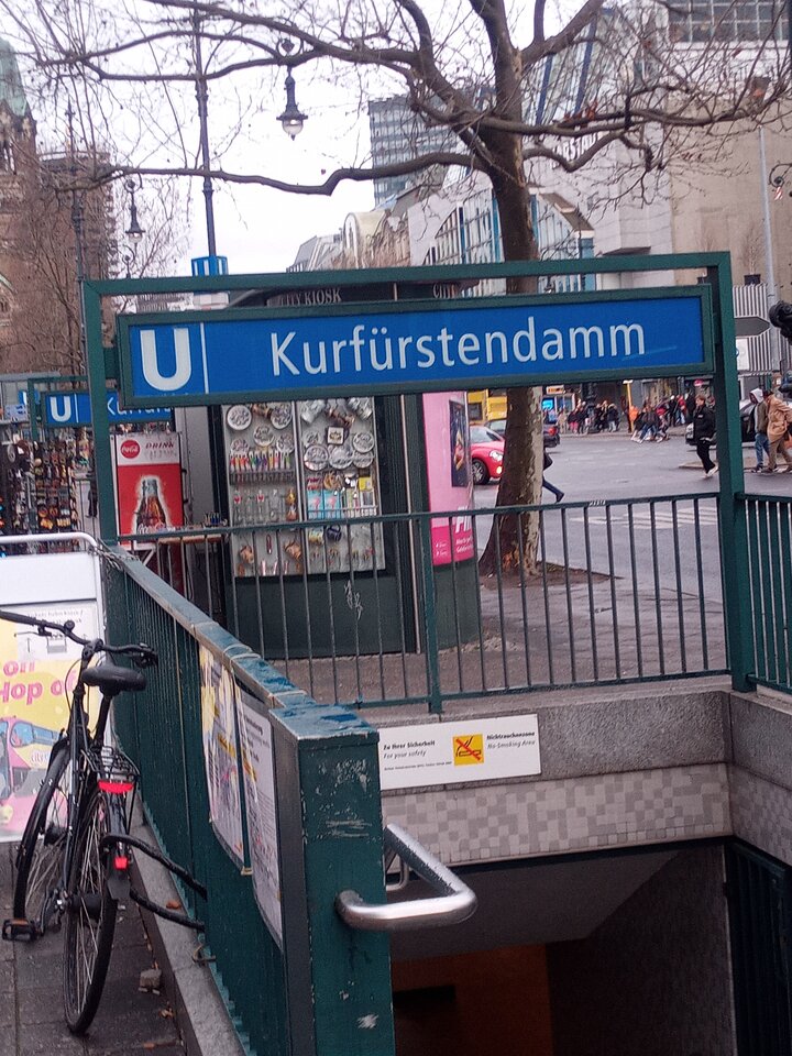 IMG_20230307_163445_611.jpg - WaskoDaGama13