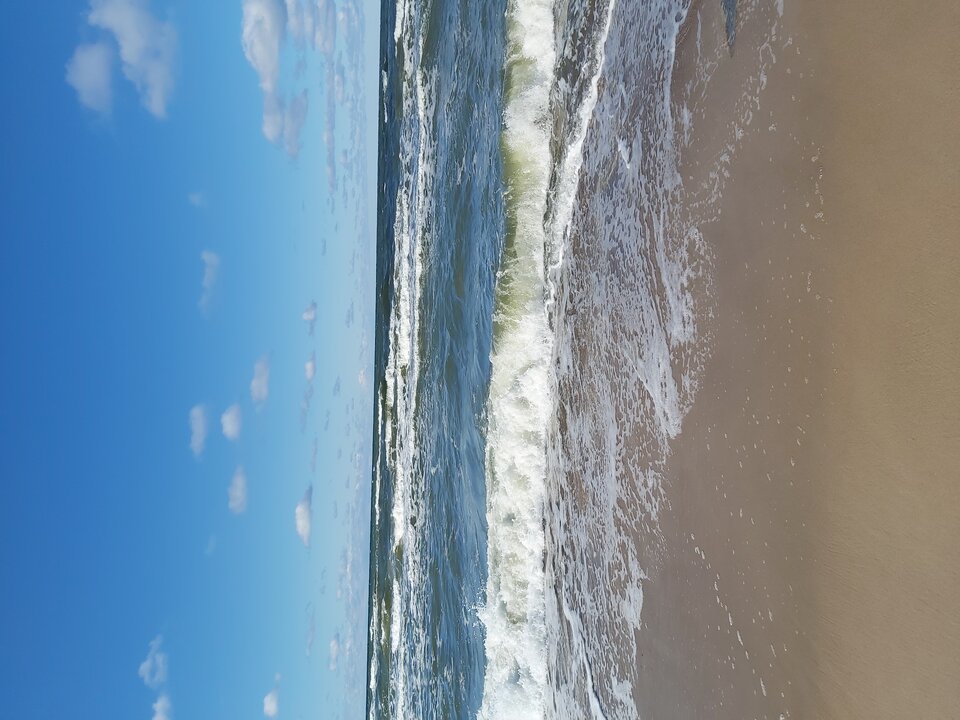 20230327_151230.jpg - Maciek_Anglia