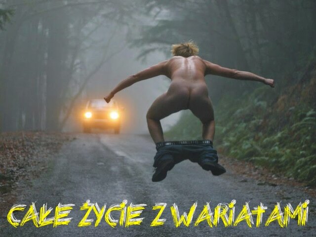 wariat.jpg - tomtwe1979