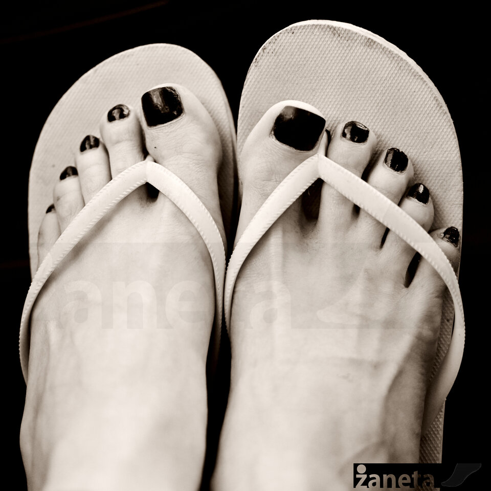 DSC_3487.JPG - zaneta201990