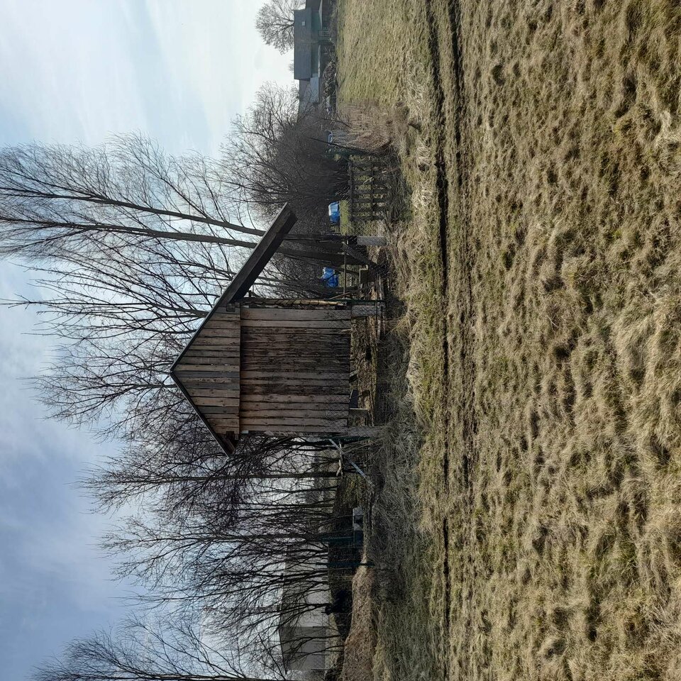 20230322_142225.jpg - kango