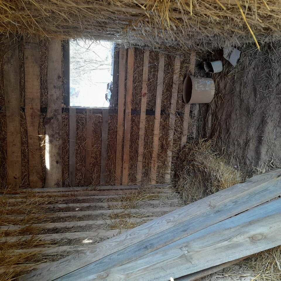 20230322_143646.jpg - kango