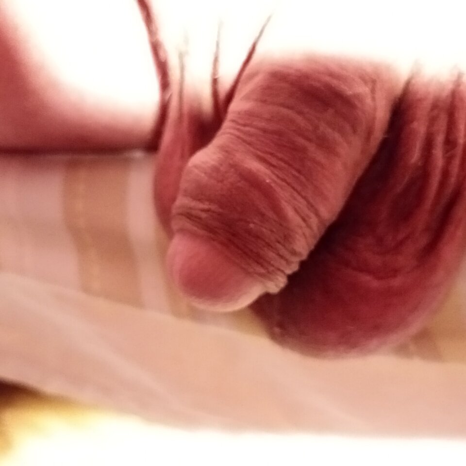 IMG_20230329_224201.jpg - Thomas57