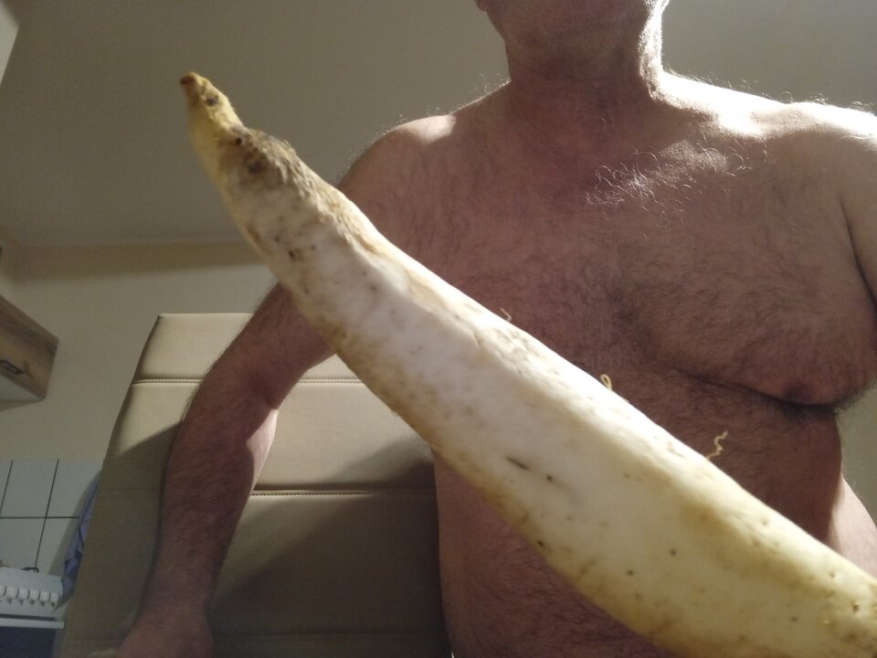 20230329_230646.jpg - Thomas57