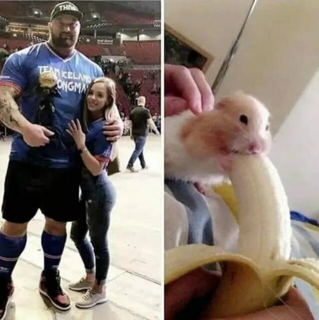 IMG-20230329-WA0004.jpg - grubber13