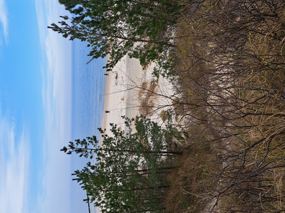 20230319_135458.jpg - DARCMEN19