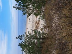 20230319_135458.jpg
