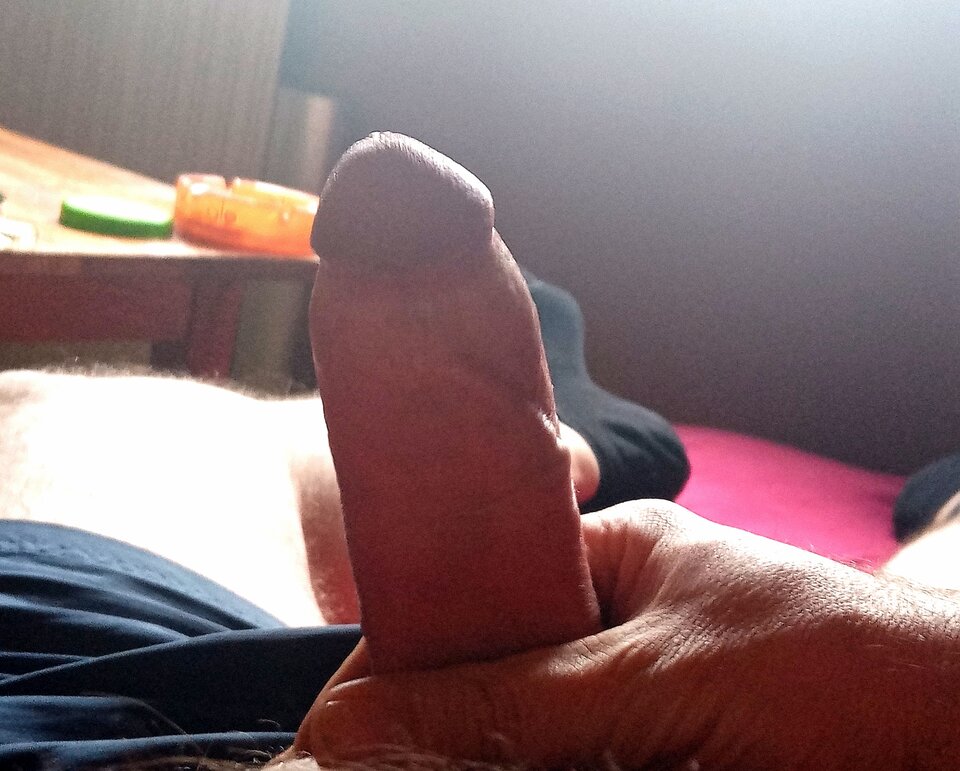 IMG_20230331_094034.jpg - Vitoxxl21