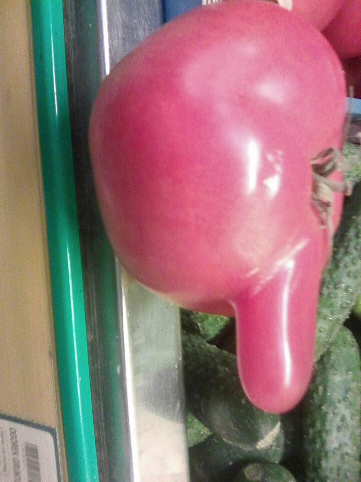 Photo0029.jpg - DZASTINKA2