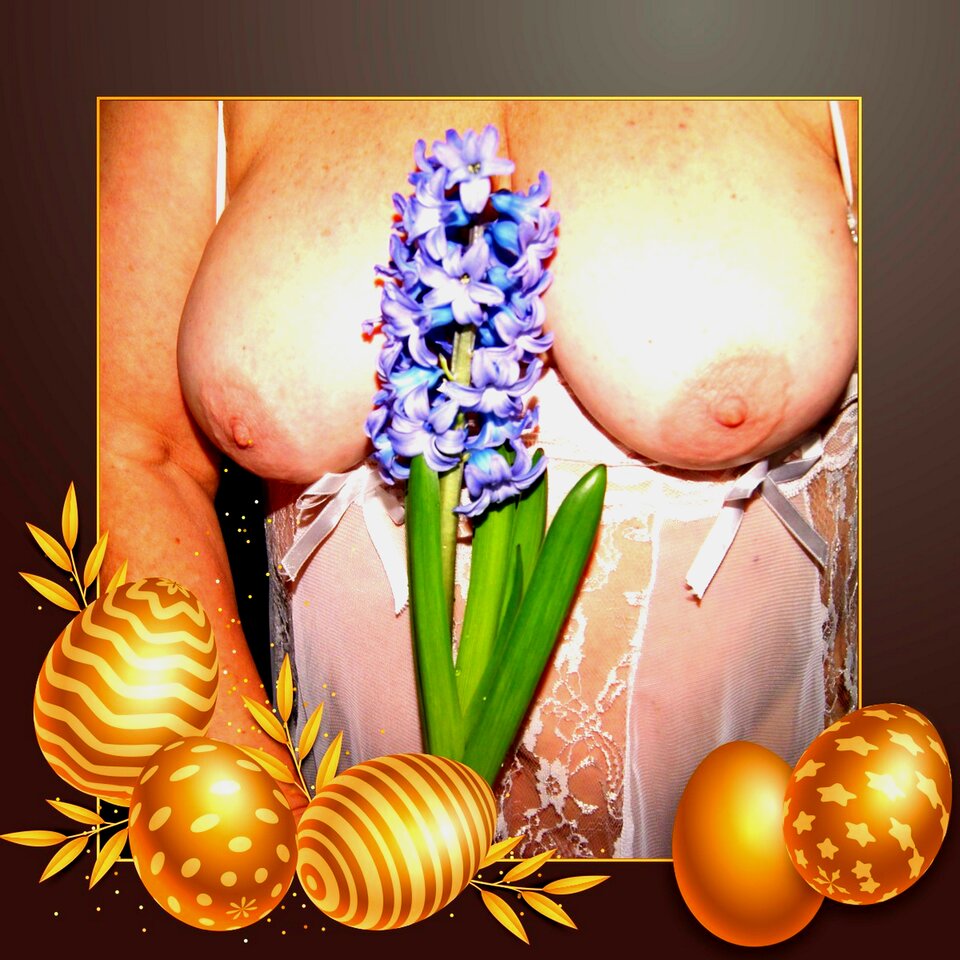 Otoczona złotymi jajami - Ajsza69