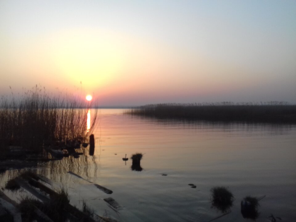 20200327_180937.jpg - torii99