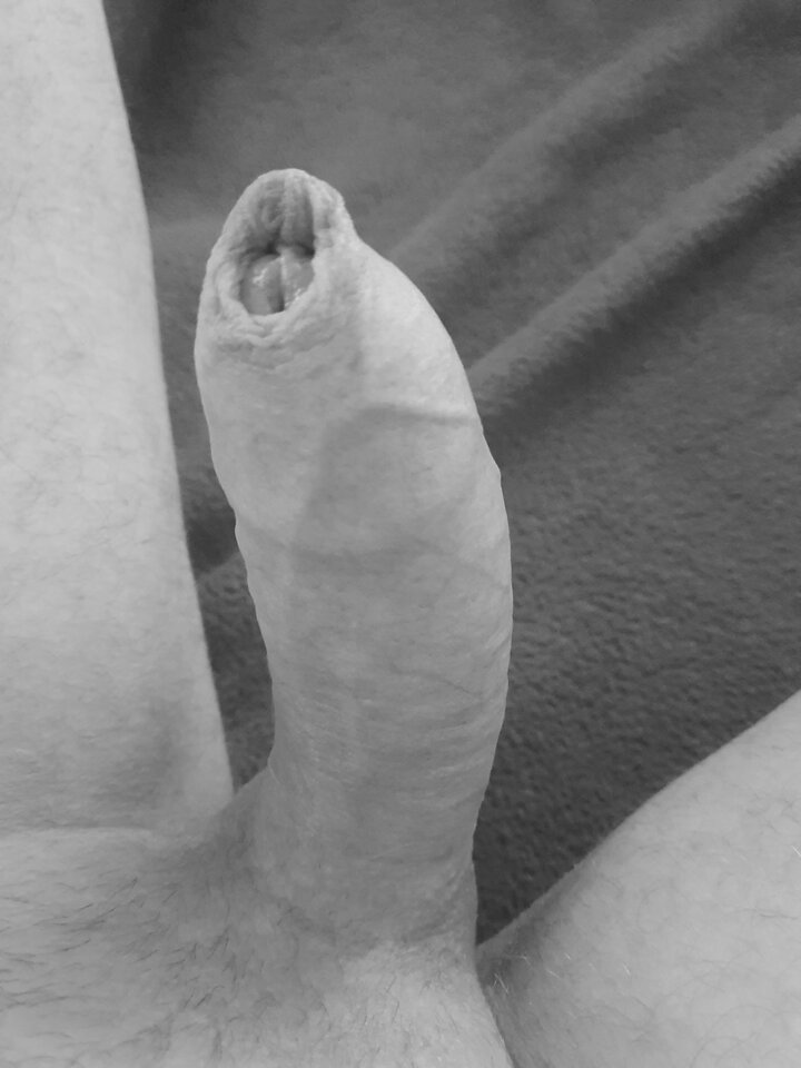 IMG_20230401_102204.jpg - Adonis4321