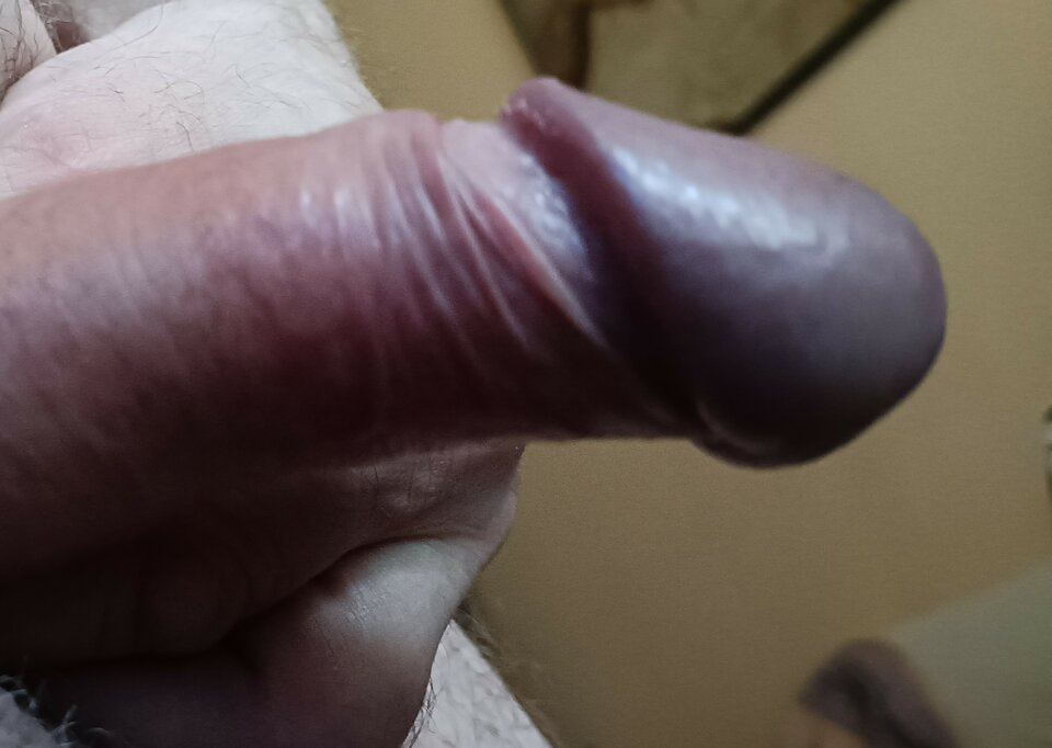 IMG20230401104424~2.jpg - ardas1