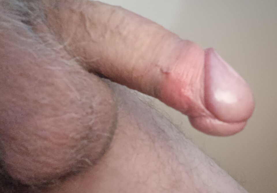 IMG20230401104409~2.jpg - ardas1