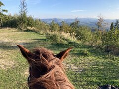 Z końskiego grzbietu widać więcej
