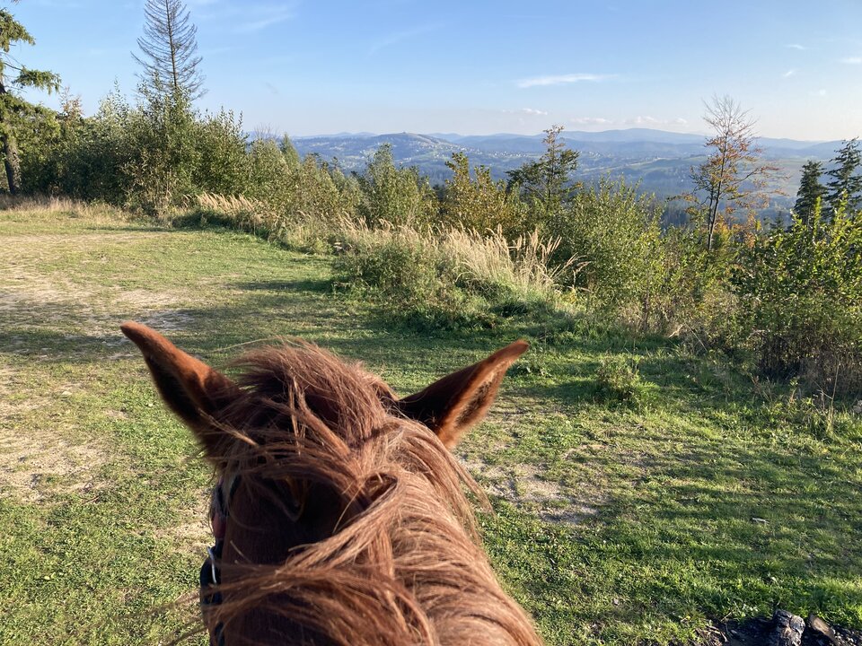 Z końskiego grzbietu widać więcej - AndmaG