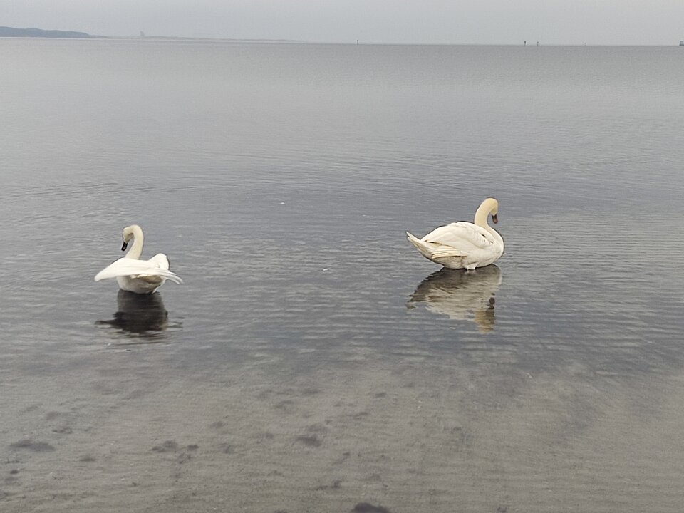 IMG_20230323_064549.jpg - edytkaandrzej