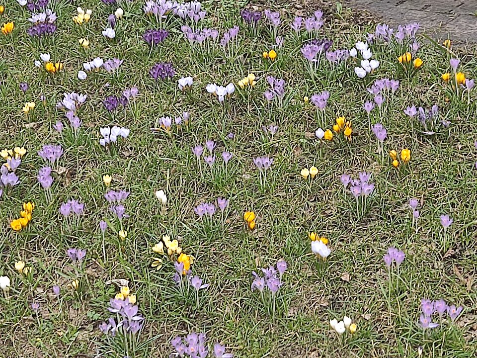 IMG_20230323_095601.jpg - edytkaandrzej