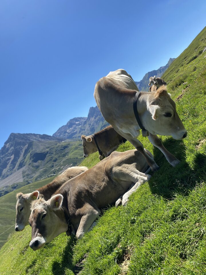 8F4FBB37-D48C-4E74-95EA-3B680AEEFB8F.jpeg - May_Day