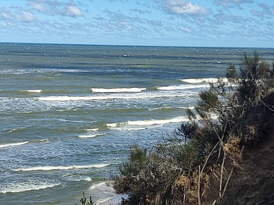 IMG_20230402_112752.jpg - edytkaandrzej