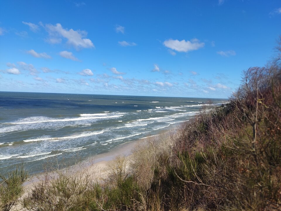 IMG_20230402_114142.jpg - edytkaandrzej