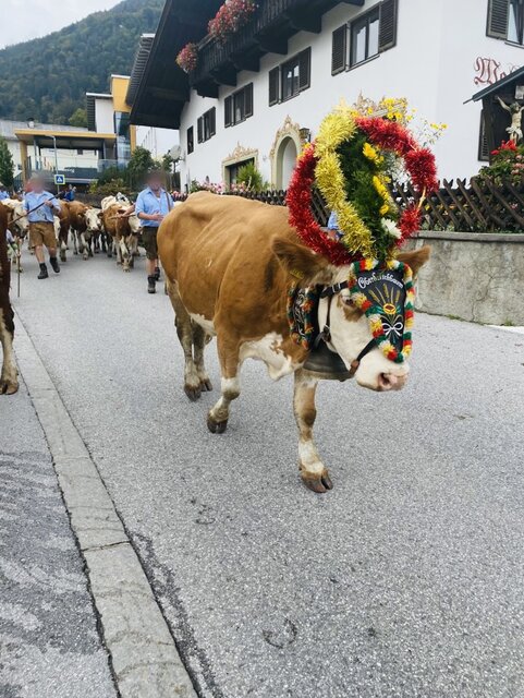 ABAD84FC-06CE-4814-9283-1E8B8A0BAE36.jpeg - May_Day