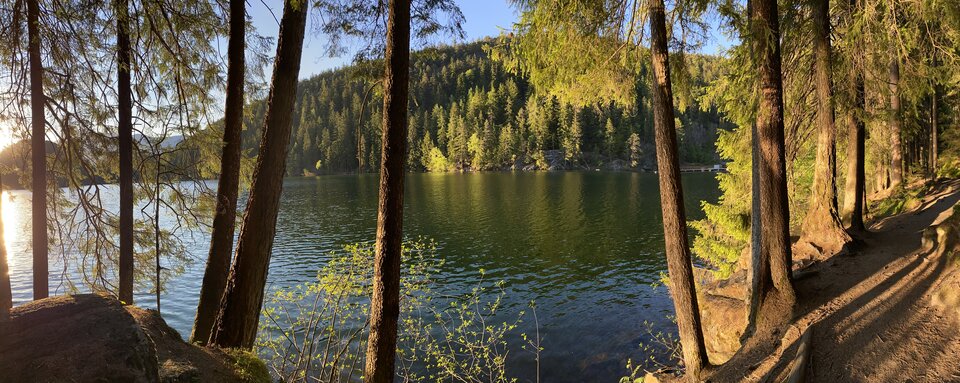 C1E1C747-1862-452A-80ED-B82E9181F51B.jpeg - May_Day