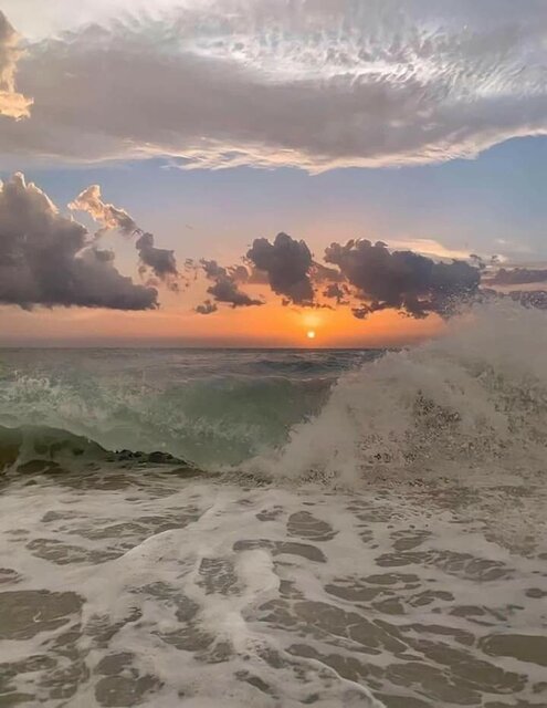 FB_IMG_1680433860129.jpg - PARABICUCK