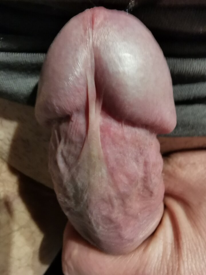 IMG_20230403_060600.jpg - jkhlghkjgh