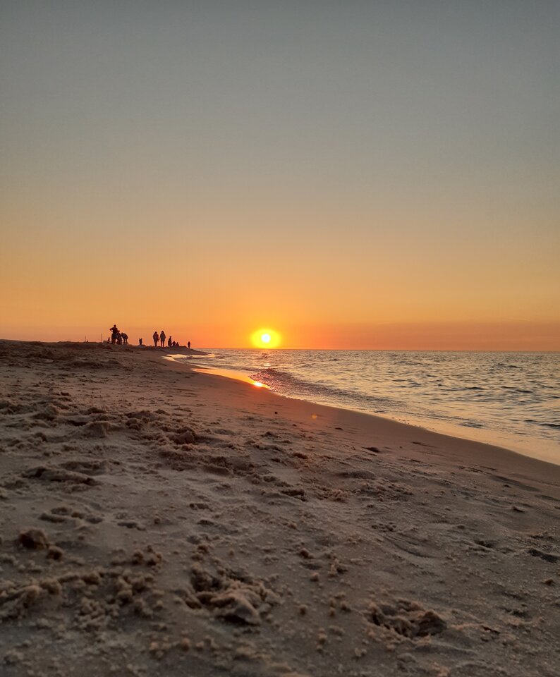 20220812_201522.jpg - Fan_c