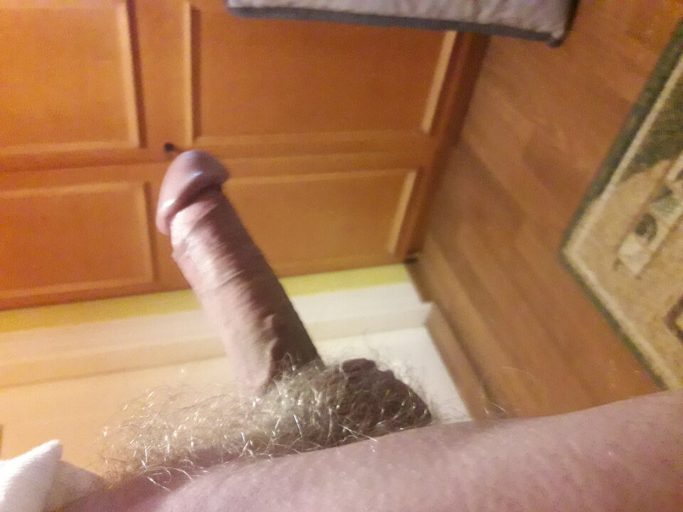 20230402_060239.jpg - brus13