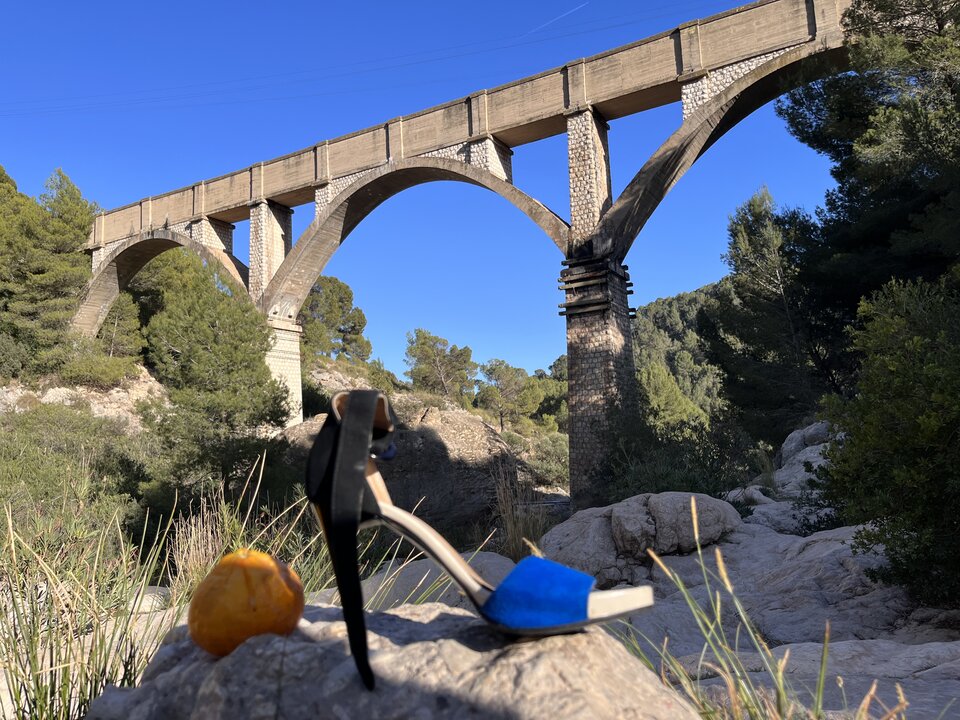 E080B348-FA8A-402C-A544-788A58ABCC21.jpeg - TolaBolek2018