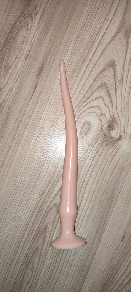 IMG_20230406_082606.jpg - kp25