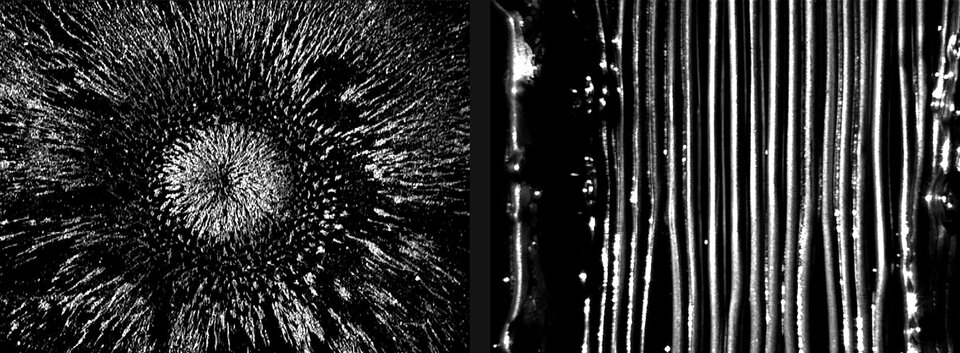 DE9T.02-melt1.jpg - JoyOrbison