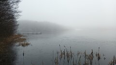20230301_091553.jpg