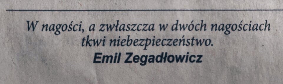 06_202309.jpg - Nicci