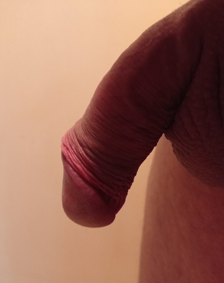 IMG_20230407_185247.jpg - tomciolkr