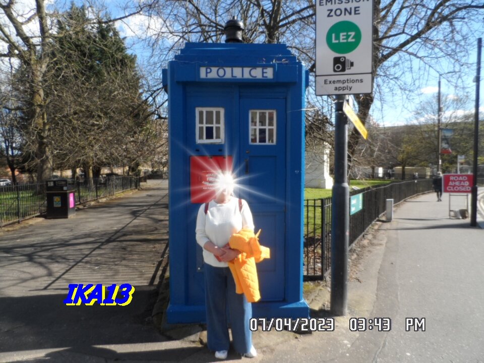 SAM_4409.JPG - ika13