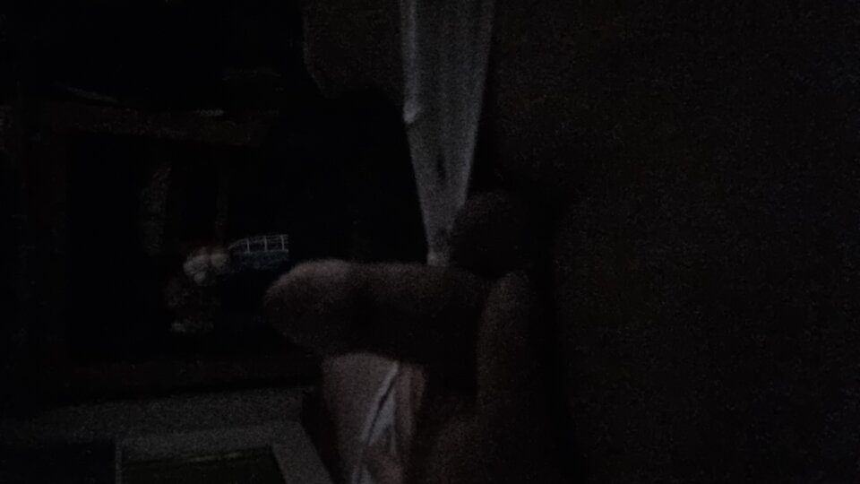 16809126223418310353794926639086.jpg - WyssamCie69