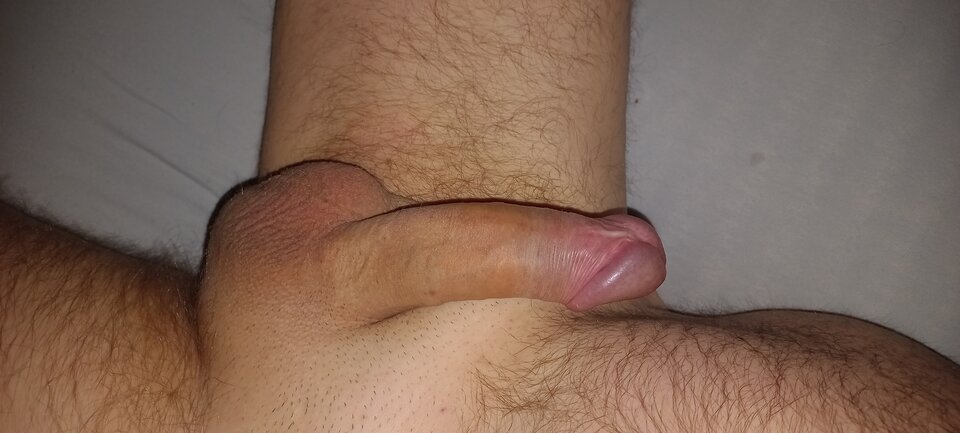 20230408_060642.jpg - andreas222