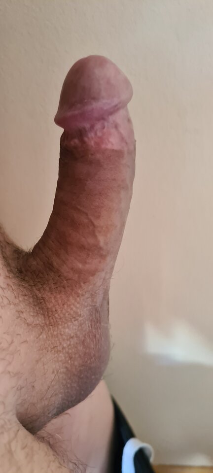 20230408_103627.jpg - kubotar