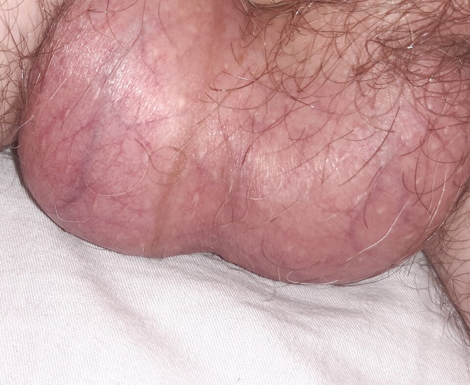 20230408_090130.jpg - Fan_c