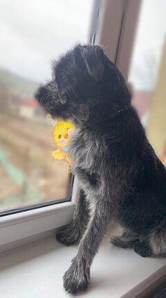 24D03D8C-C02A-421A-A029-263E169B9D1D.jpeg