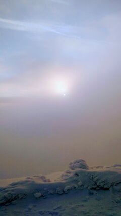 IMG_20230408_062709008~2.jpg
