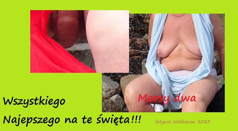 Na te Święta ! - Morsy_dwa