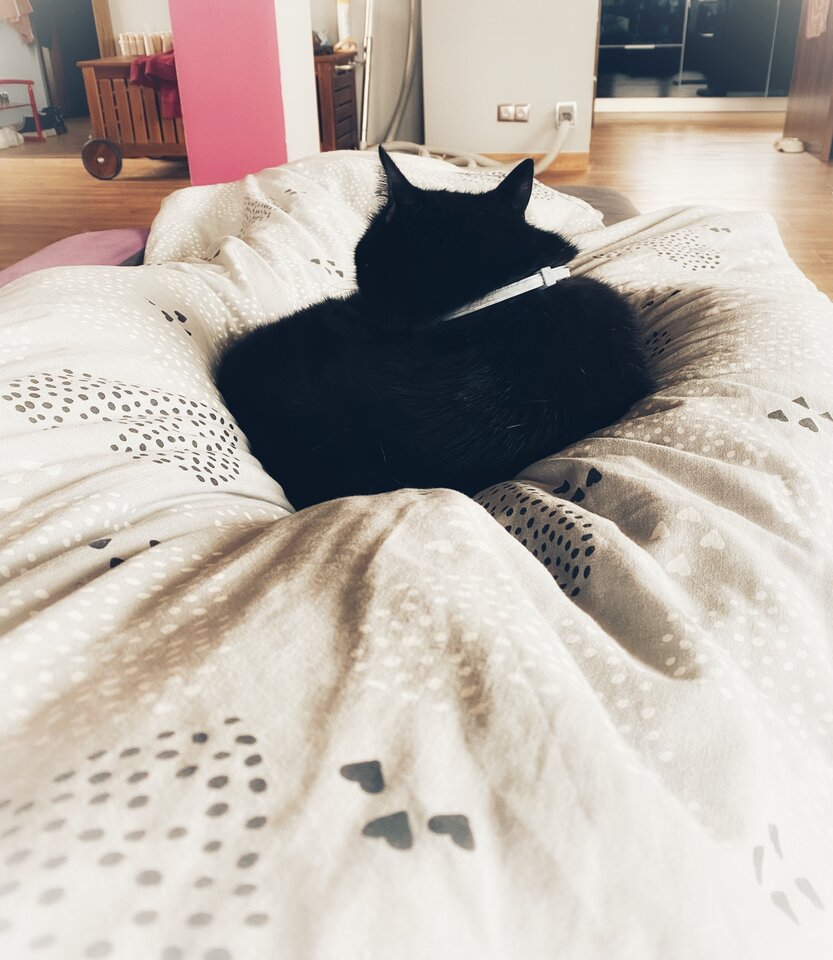 IMG_0196.jpeg - serialowapara19782