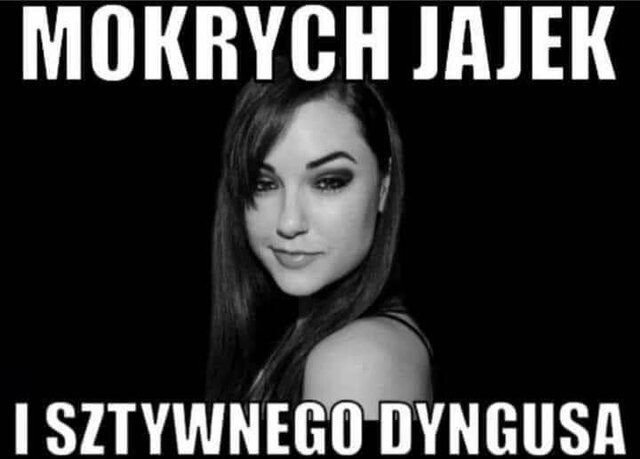 FB_IMG_1681000882578.jpg - zwyczajny42gda