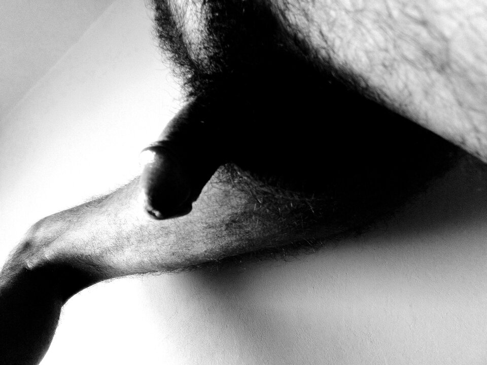 IMG_20230409_113304.jpg - Mozeteraz91