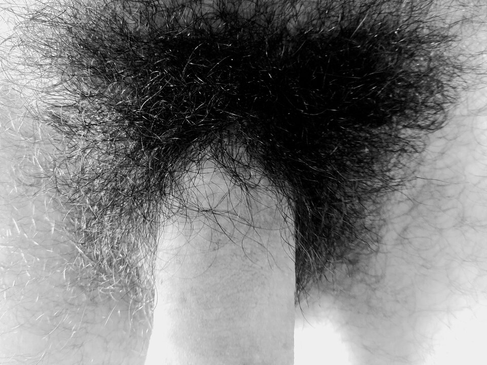 IMG_20230409_114658.jpg - Mozeteraz91