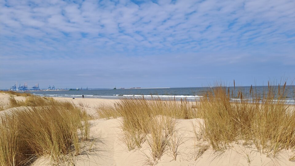 20230409_124120.jpg - Fresconi